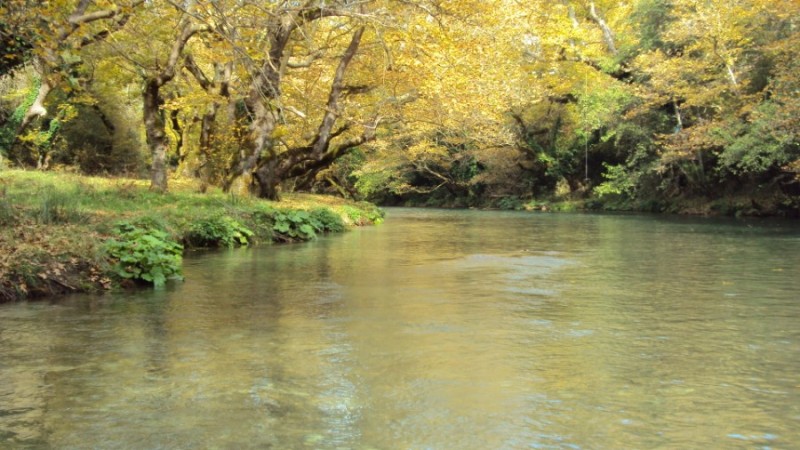 DSC02608.jpg
