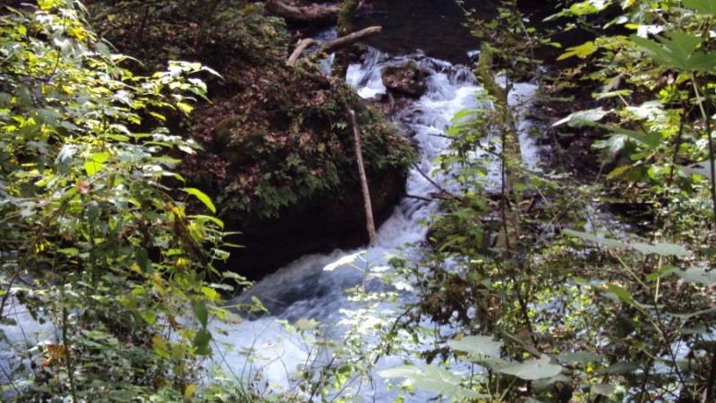 DSC02613.jpg