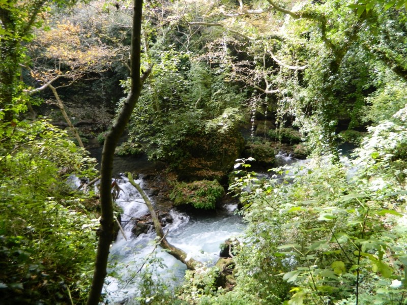 DSCN0629.JPG