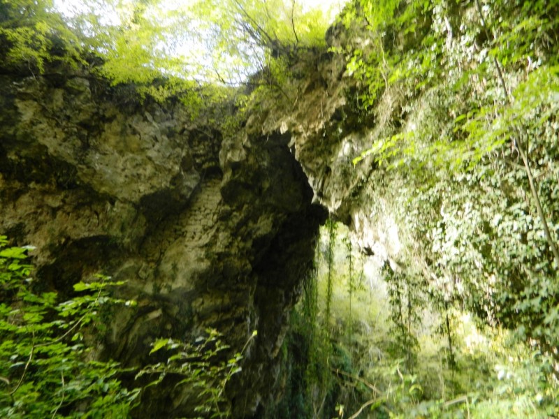DSCN0640.JPG