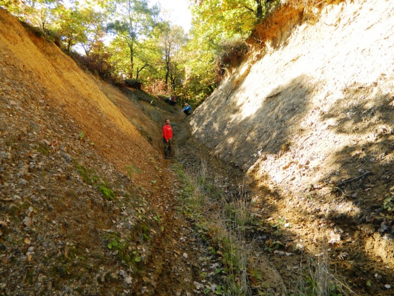 DSCN1018.JPG