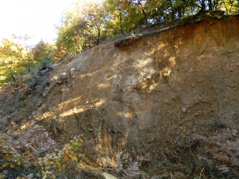 DSCN1043.JPG