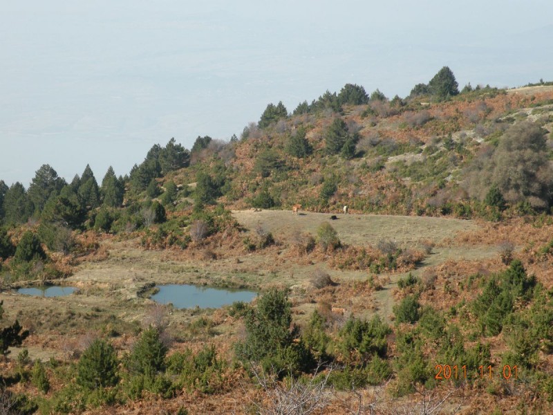 DSCN5013.JPG