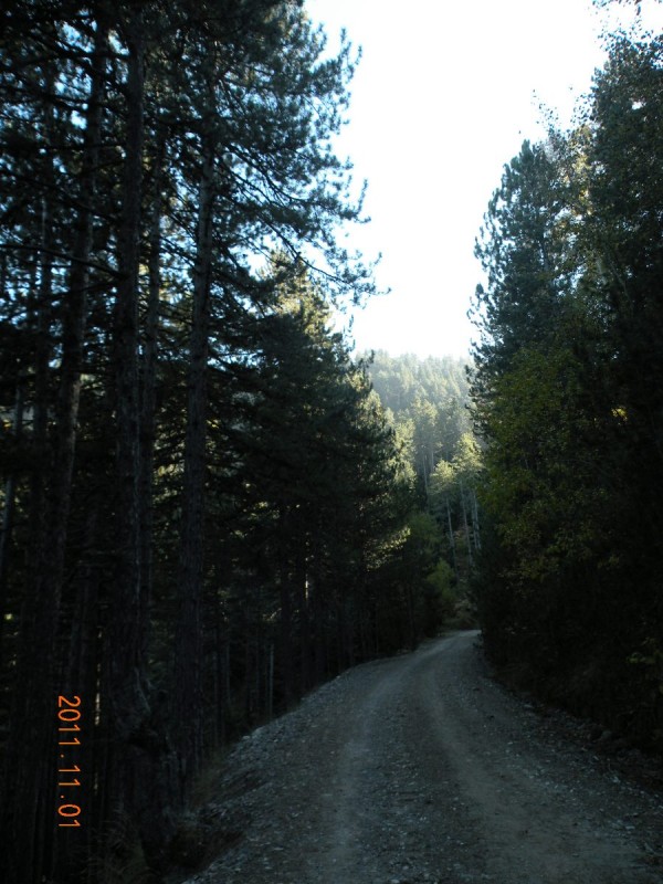 DSCN5026.JPG