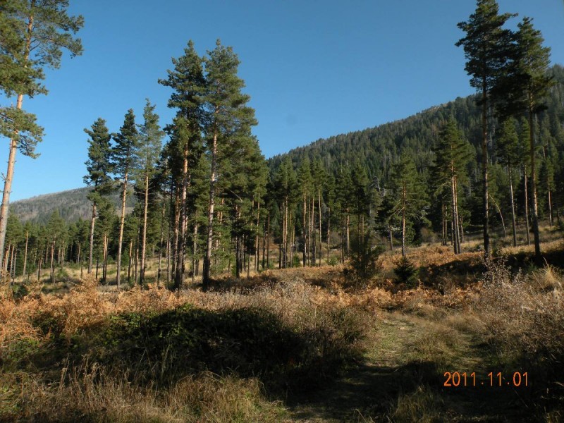DSCN5028.JPG