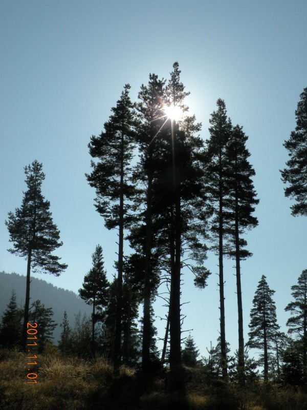 DSCN5029.JPG