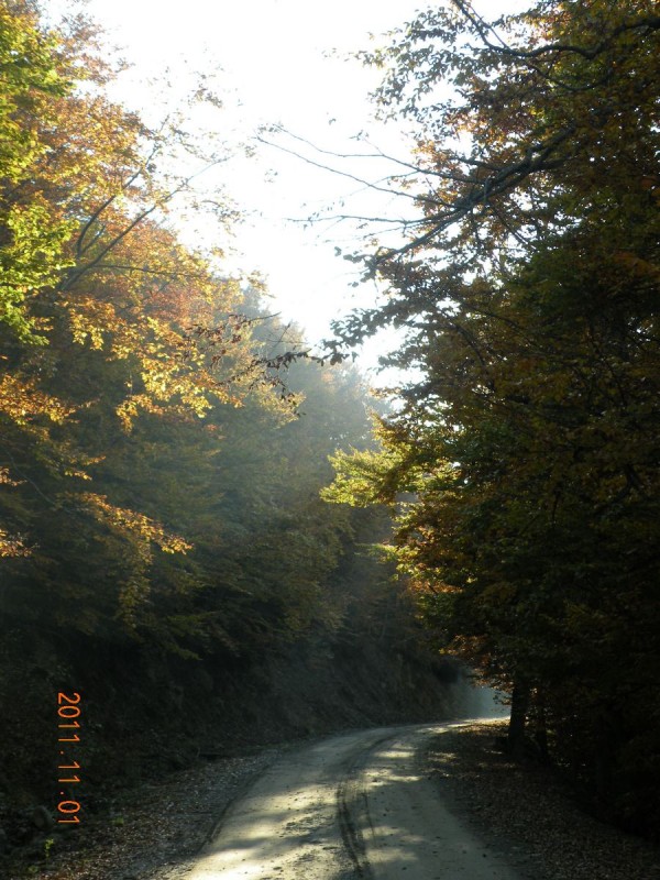DSCN5034.JPG