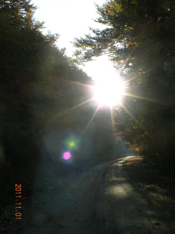 DSCN5035.JPG