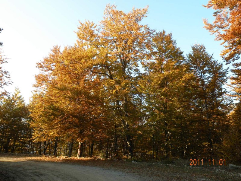 DSCN5039.JPG