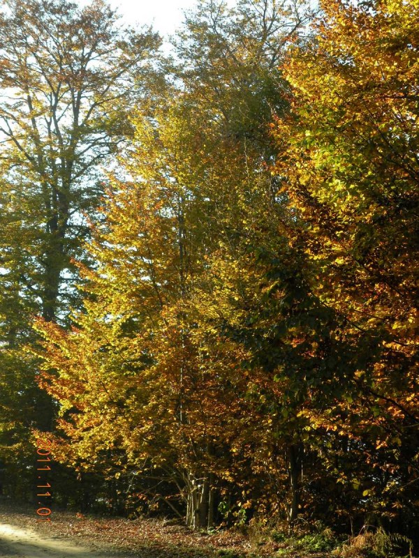 DSCN5040.JPG