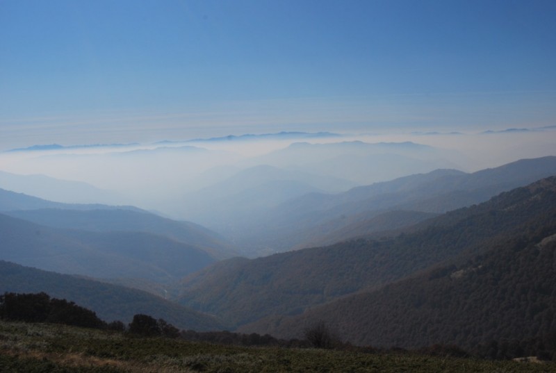 DSC_0313.jpg