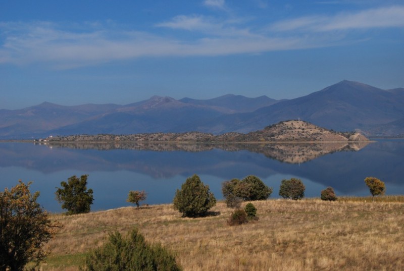 DSC_0166.jpg