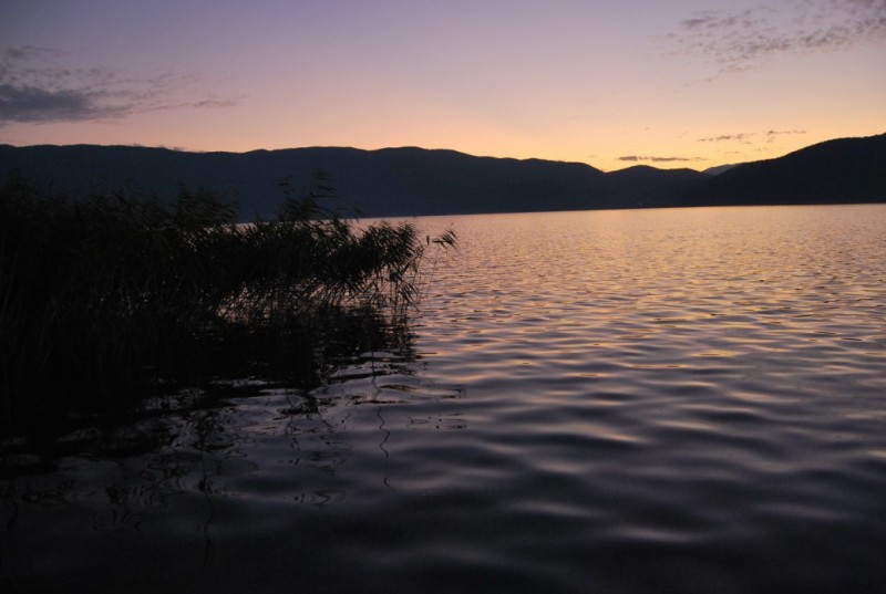 DSC_0108.jpg