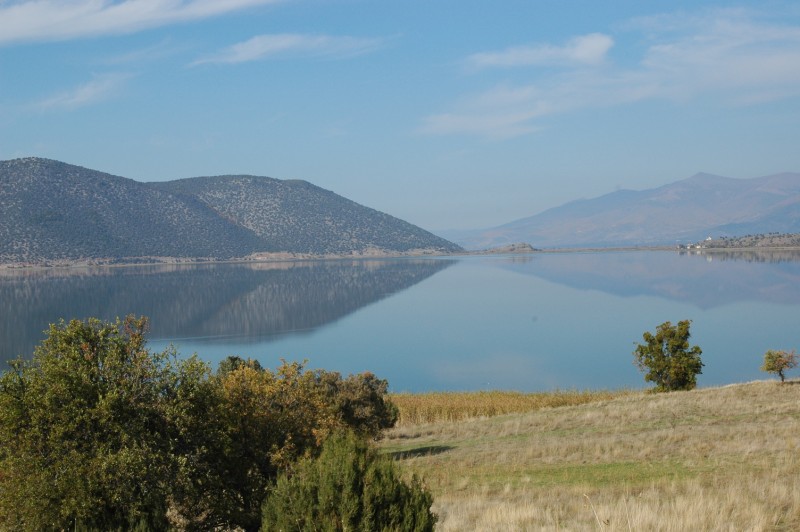 DSC_0016.jpg