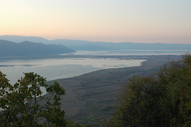 DSC_0026.jpg