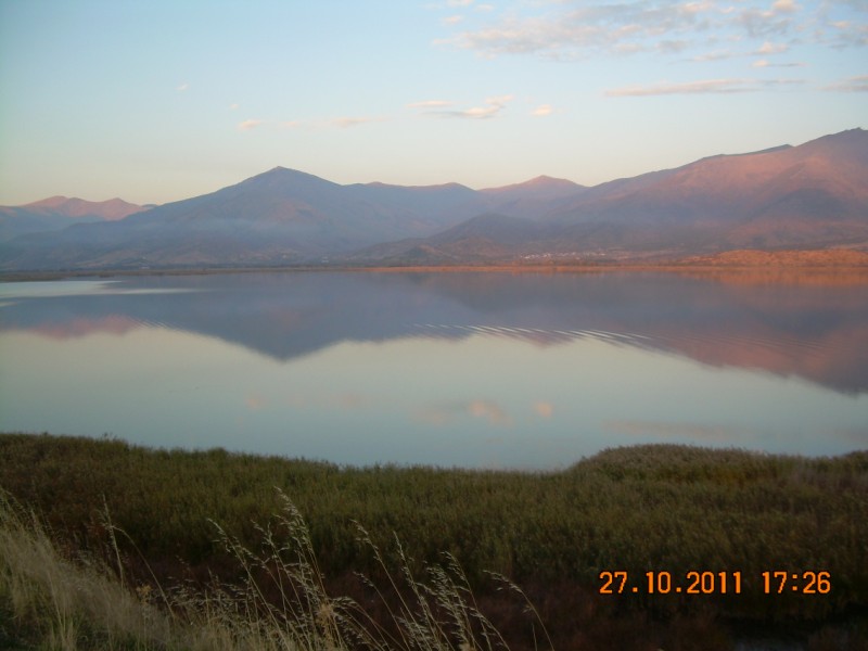 DSCN2082.jpg