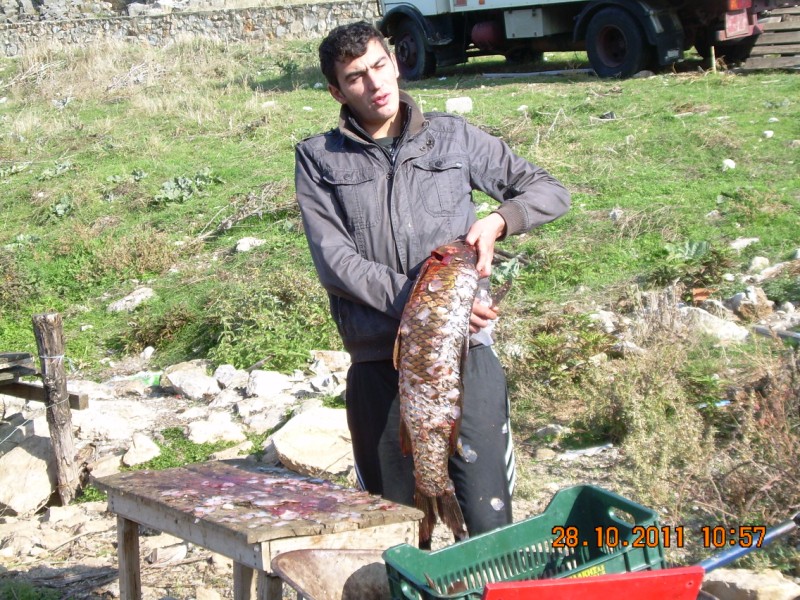 DSCN2086.jpg