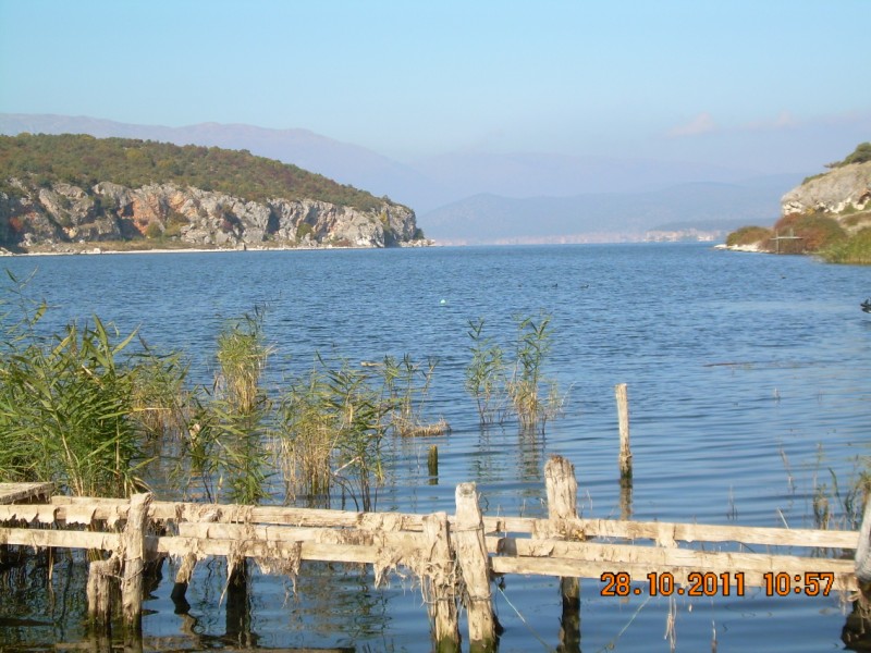 DSCN2087.jpg