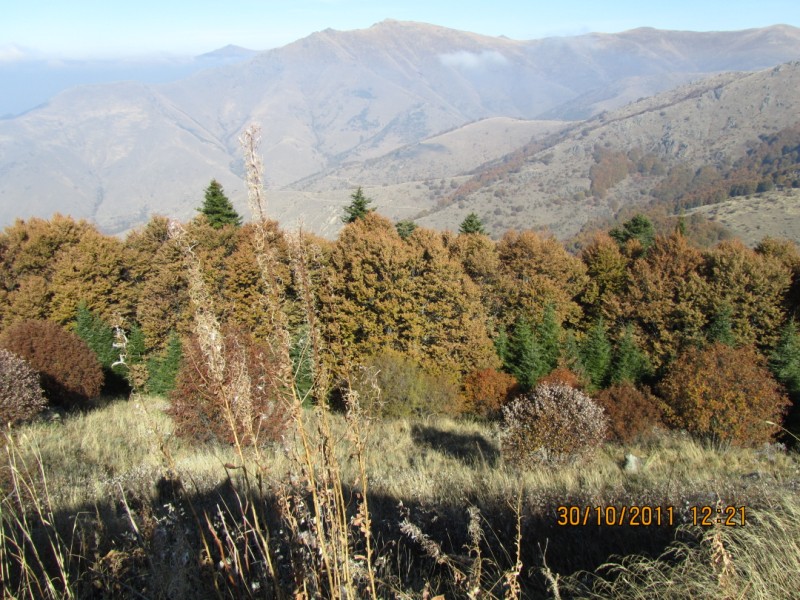 IMG_0733.jpg