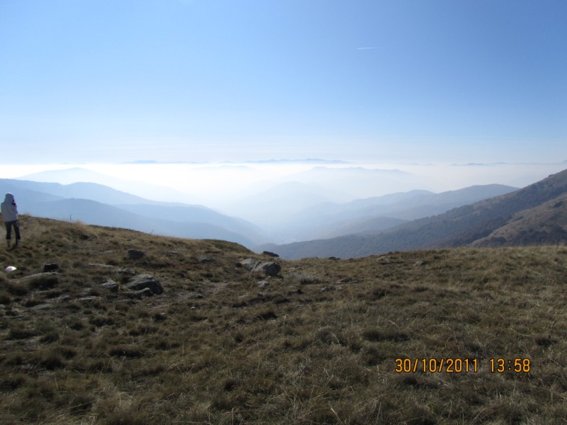 IMG_0768.jpg