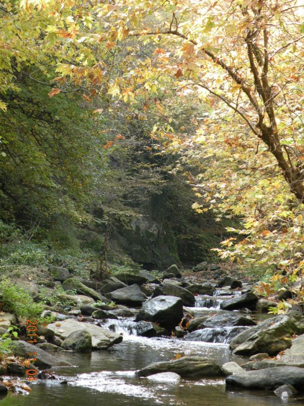 DSCN5058.JPG