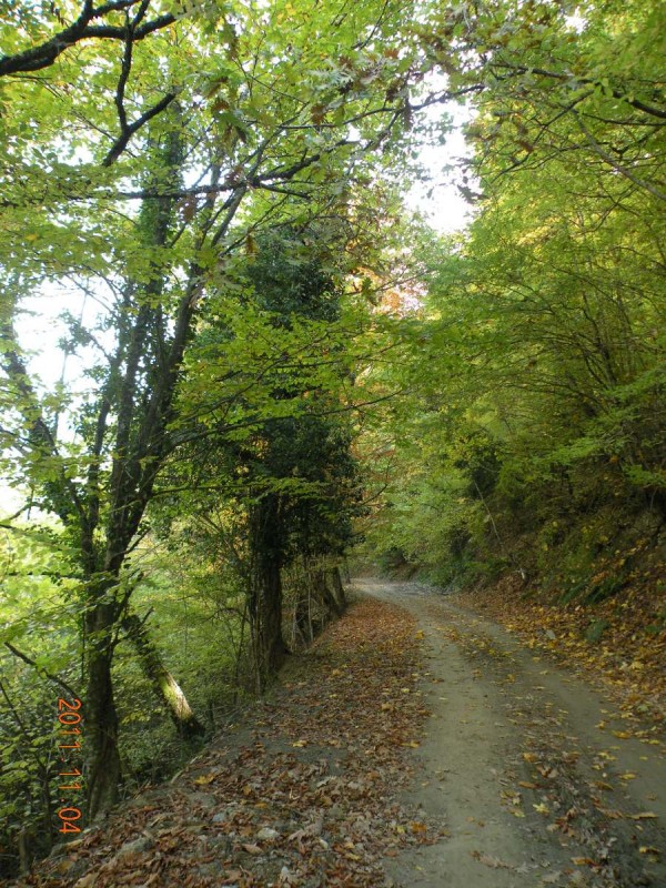 DSCN5059.JPG