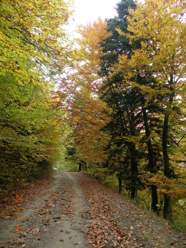 DSCN5061.JPG