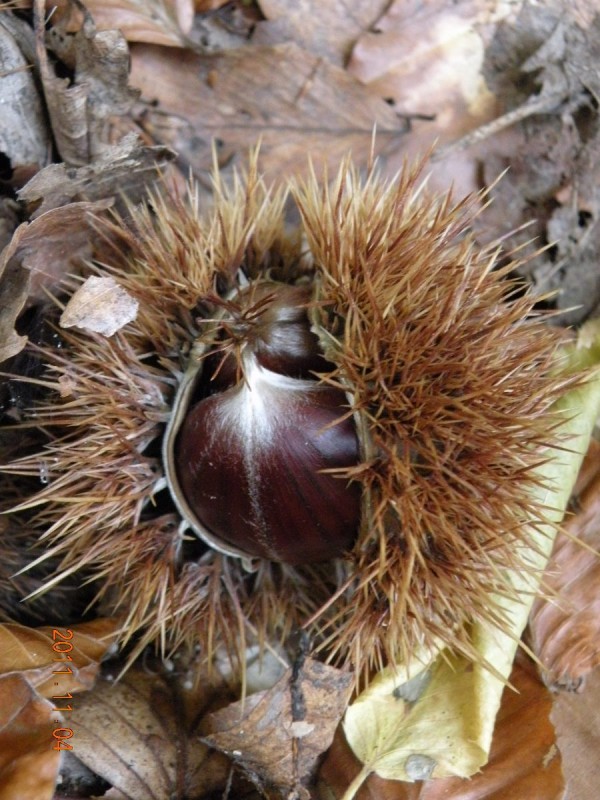 DSCN5062.JPG