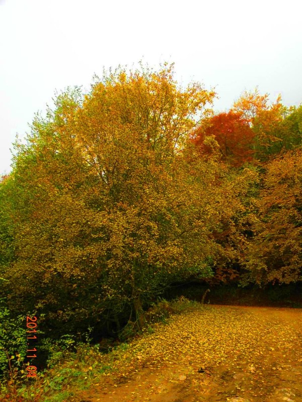 DSCN5064.JPG