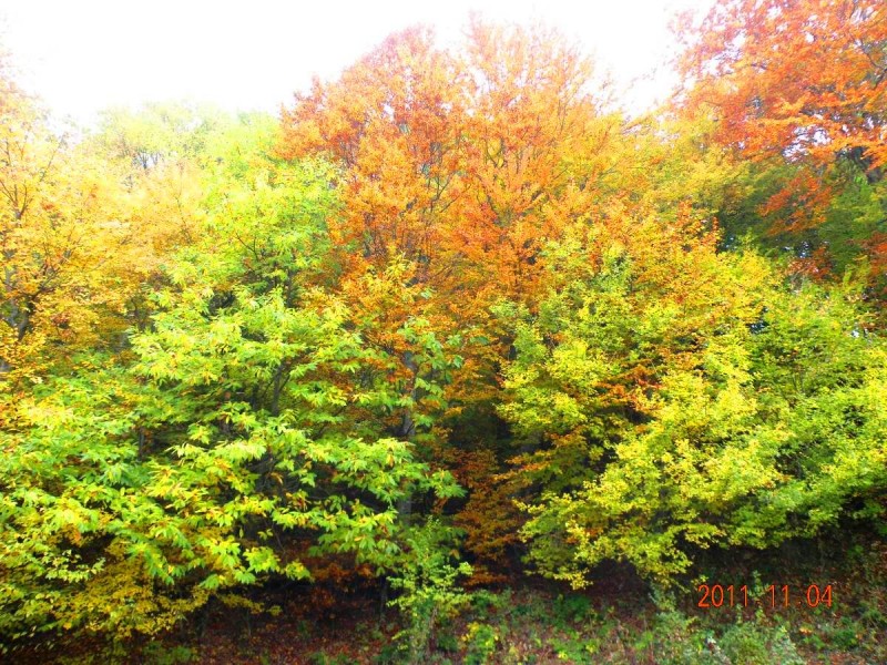 DSCN5065.JPG