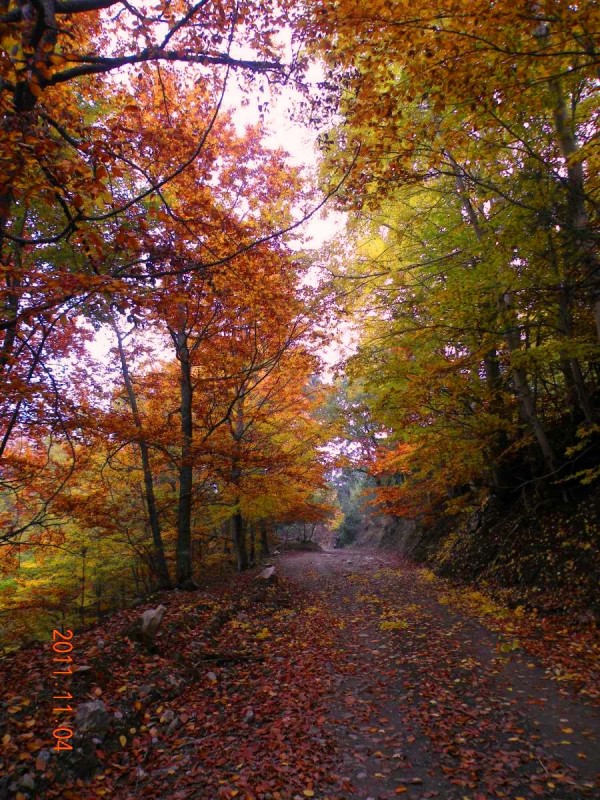 DSCN5067.JPG