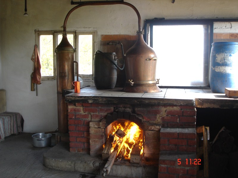 DSC03157.jpg