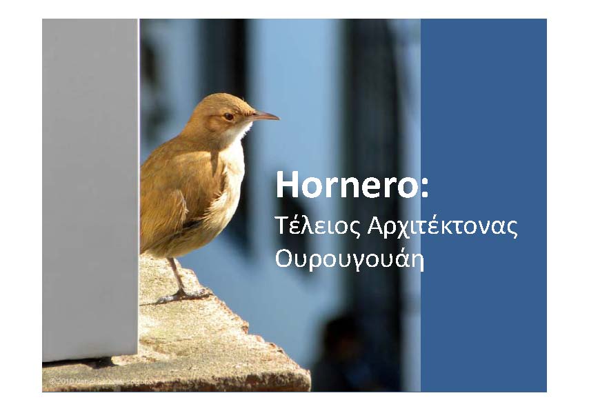 hornero constructor_Page_01.jpg