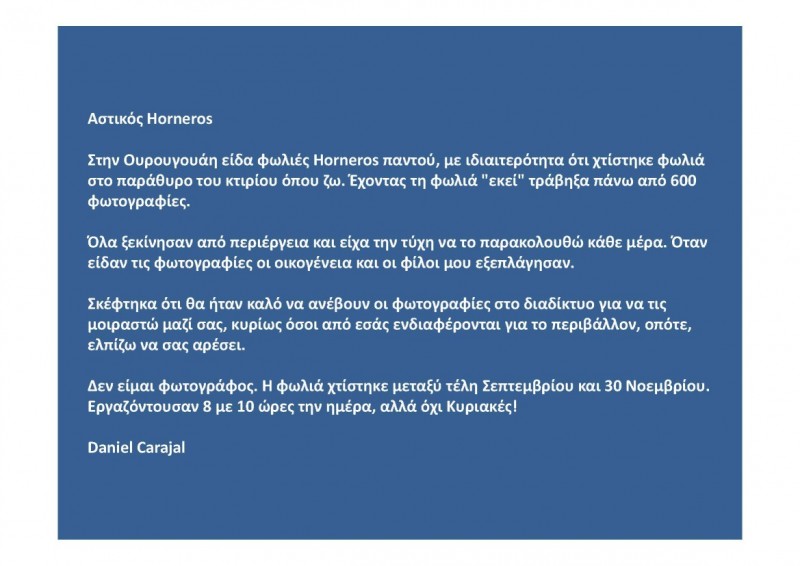 hornero constructor_Page_41 (1169 x 827).jpg