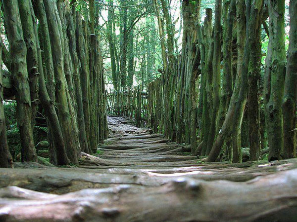 puzzlewood5.jpg