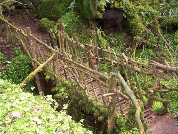 puzzlewood6.jpg