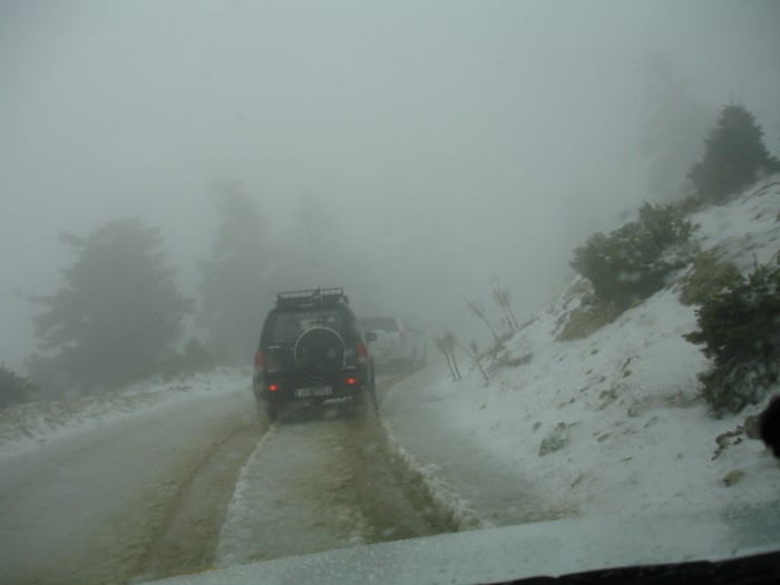 DSC01793.jpg