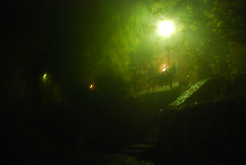 DSC_8601.JPG