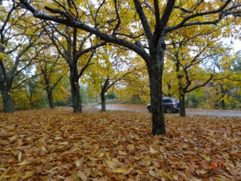 DSC00452.JPG