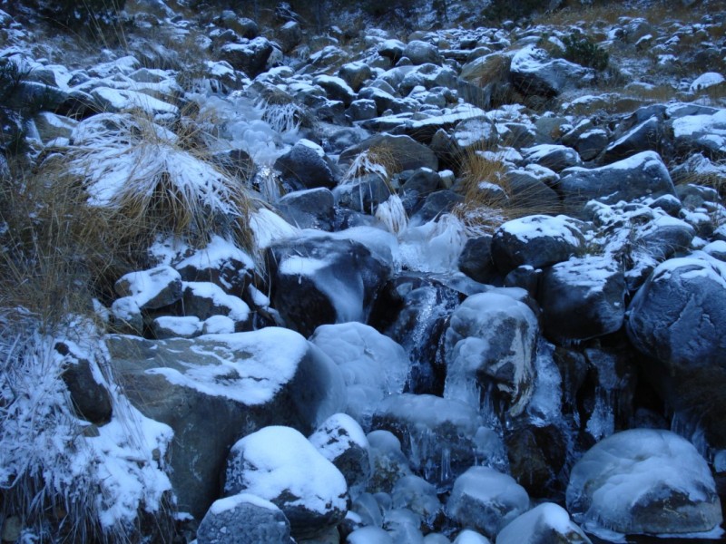 DSC02130.jpg