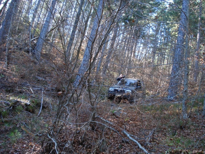 DSC02183.jpg