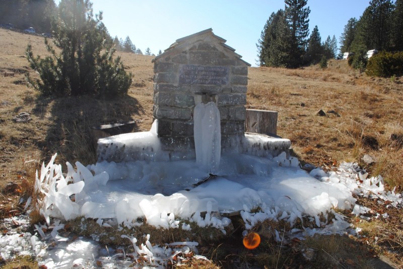 DSC_2099.jpg