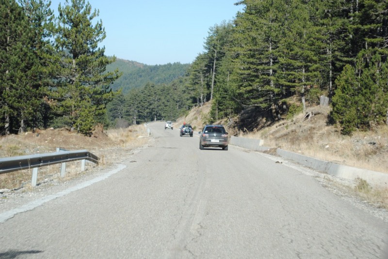 DSC_1525.jpg
