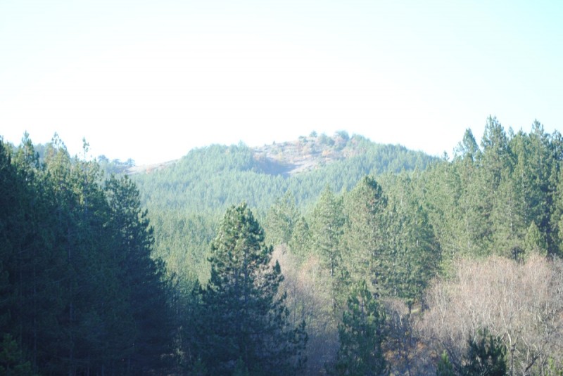 DSC_1540.jpg
