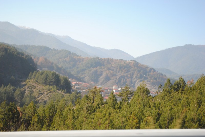 DSC_1543.jpg