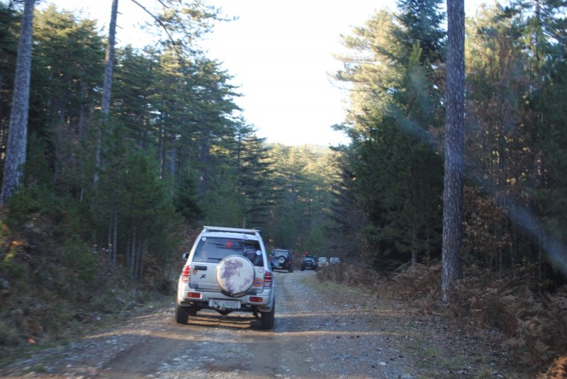 DSC_1568.jpg