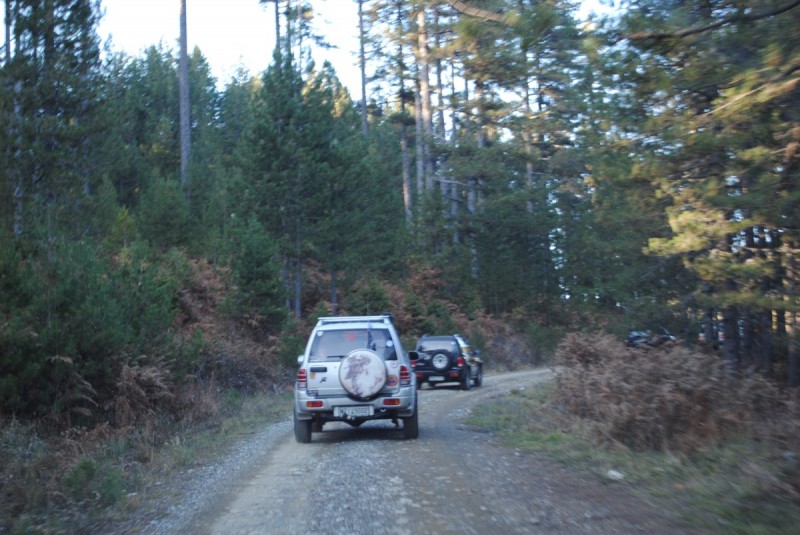 DSC_1576.jpg