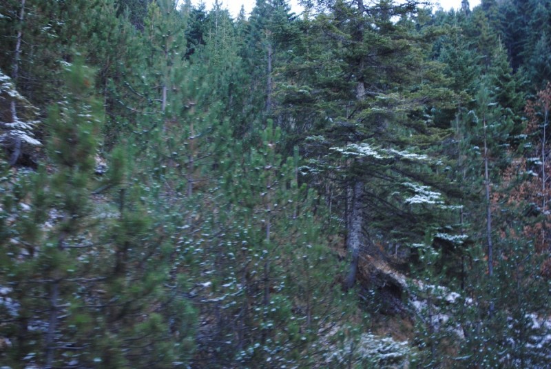 DSC_1592.jpg