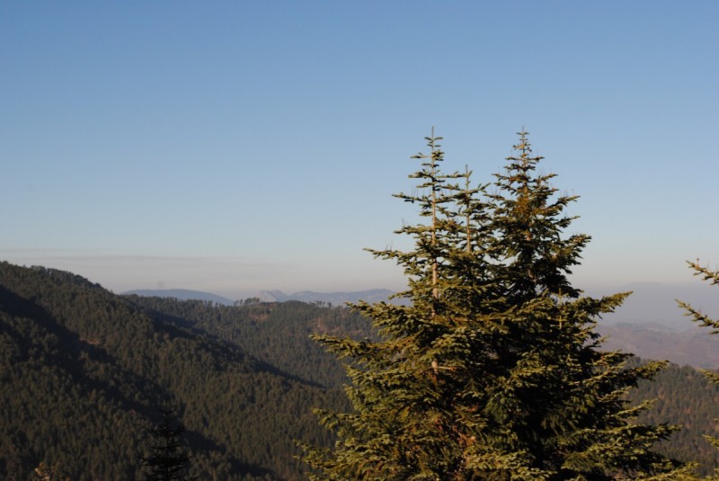 DSC_1595.jpg