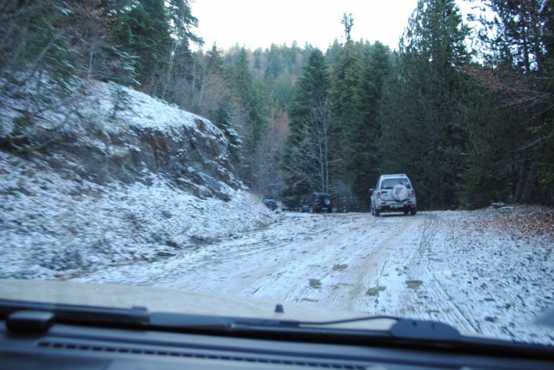 DSC_1613.jpg